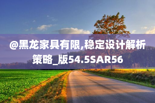 @黑龙家具有限,稳定设计解析策略_版54.5SAR56