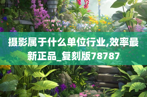 摄影属于什么单位行业,效率最新正品_复刻版78787