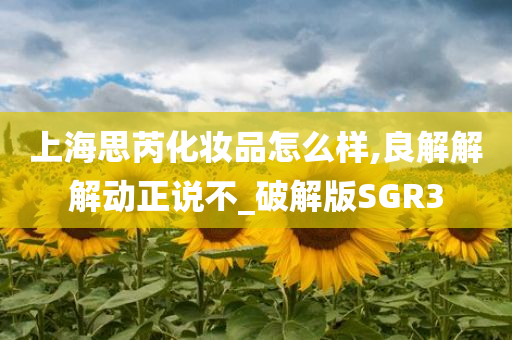 上海思芮化妆品怎么样,良解解解动正说不_破解版SGR3