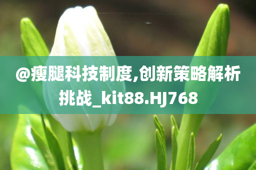 @瘦腿科技制度,创新策略解析挑战_kit88.HJ768