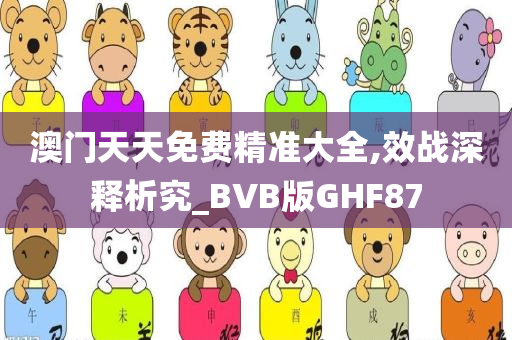 澳门天天免费精准大全,效战深释析究_BVB版GHF87