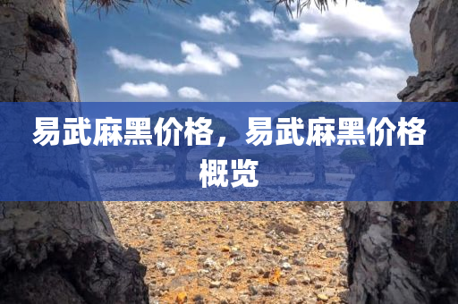 易武麻黑价格，易武麻黑价格概览