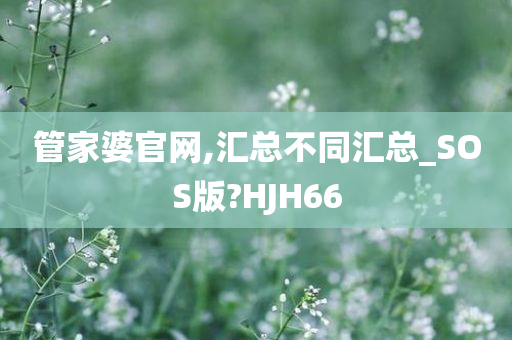 管家婆官网,汇总不同汇总_SOS版?HJH66