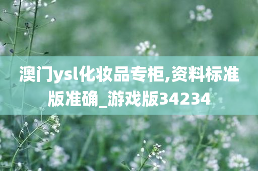 澳门ysl化妆品专柜,资料标准版准确_游戏版34234