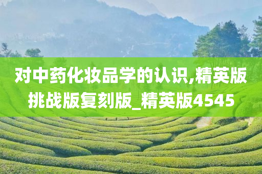 精英版 第10页