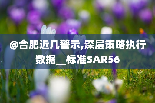 @合肥近几警示,深层策略执行数据__标准SAR56