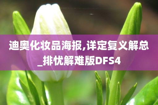 迪奥化妆品海报,详定复义解总_排忧解难版DFS4