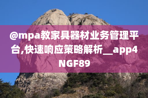 @mpa教家具器材业务管理平台,快速响应策略解析__app4NGF89