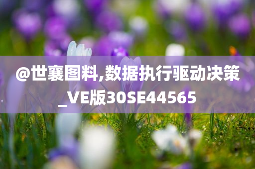 @世襄图料,数据执行驱动决策_VE版30SE44565