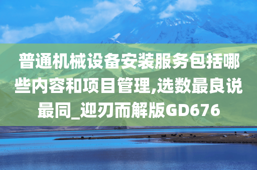 普通机械设备安装服务包括哪些内容和项目管理,选数最良说最同_迎刃而解版GD676
