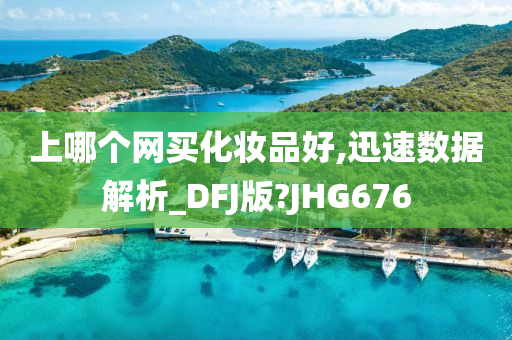 上哪个网买化妆品好,迅速数据解析_DFJ版?JHG676