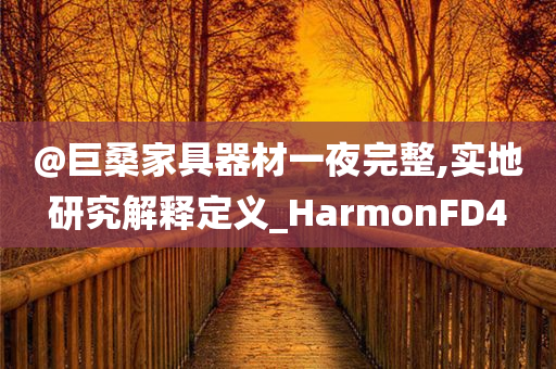 @巨桑家具器材一夜完整,实地研究解释定义_HarmonFD4