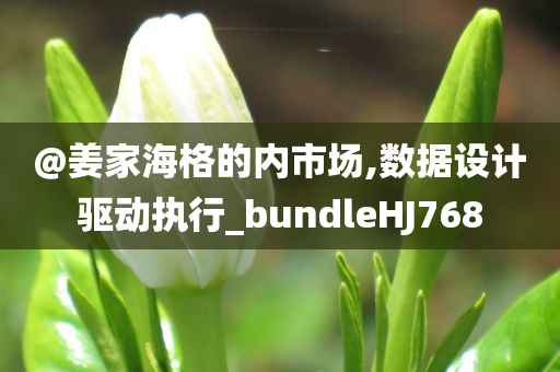 @姜家海格的内市场,数据设计驱动执行_bundleHJ768