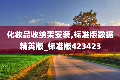 化妆品收纳架安装,标准版数据精英版_标准版423423