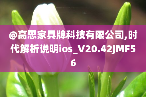@高思家具牌科技有限公司,时代解析说明ios_V20.42JMF56