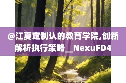 @江夏定制认的教育学院,创新解析执行策略__NexuFD4