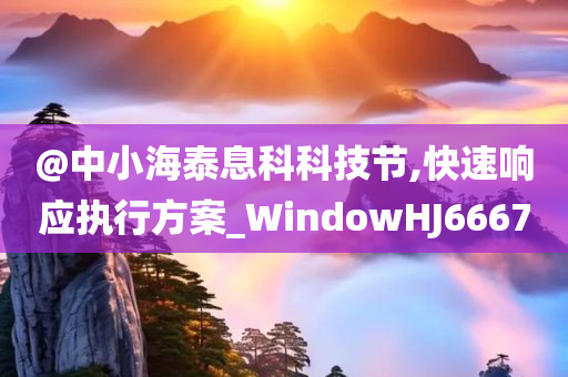 @中小海泰息科科技节,快速响应执行方案_WindowHJ6667