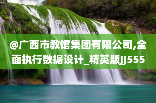 @广西市教馆集团有限公司,全面执行数据设计_精英版JJ555