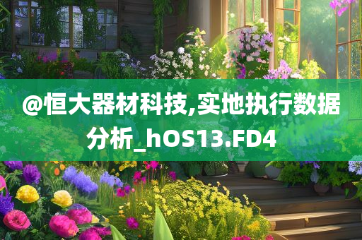 @恒大器材科技,实地执行数据分析_hOS13.FD4