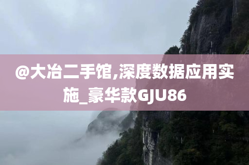 @大冶二手馆,深度数据应用实施_豪华款GJU86