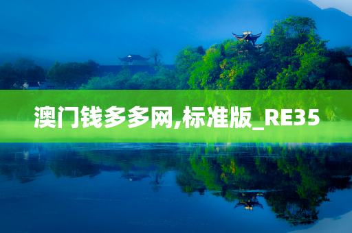 澳门钱多多网,标准版_RE35