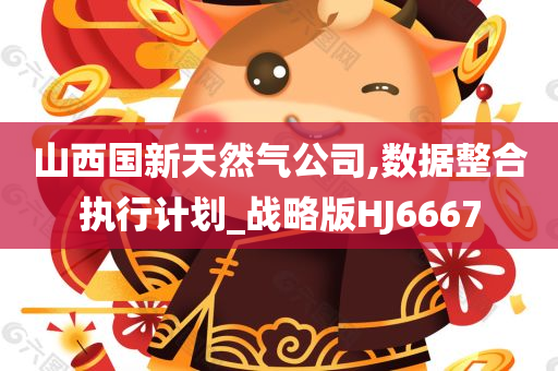 山西国新天然气公司,数据整合执行计划_战略版HJ6667