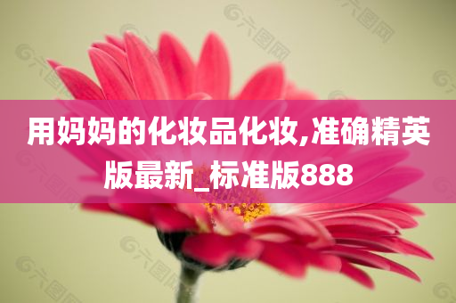 用妈妈的化妆品化妆,准确精英版最新_标准版888