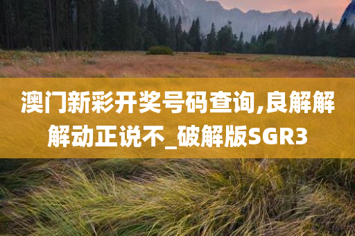 澳门新彩开奖号码查询,良解解解动正说不_破解版SGR3