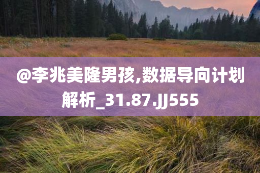@李兆美隆男孩,数据导向计划解析_31.87.JJ555
