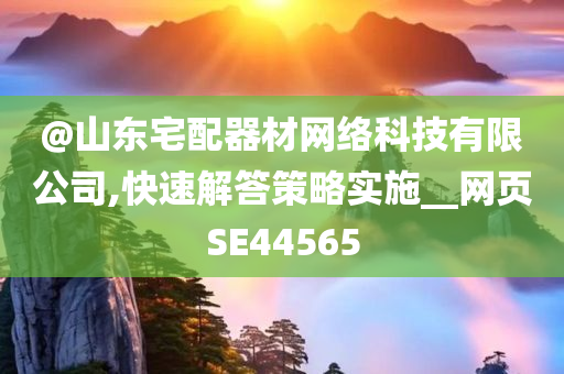 @山东宅配器材网络科技有限公司,快速解答策略实施__网页SE44565