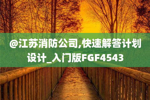 @江苏消防公司,快速解答计划设计_入门版FGF4543