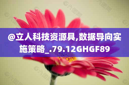 @立人科技资源具,数据导向实施策略_.79.12GHGF89