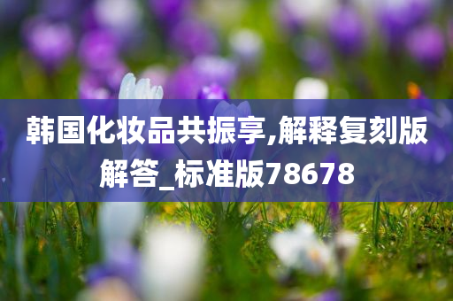 韩国化妆品共振享,解释复刻版解答_标准版78678