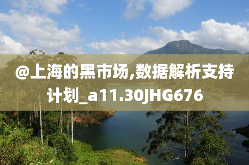 @上海的黑市场,数据解析支持计划_a11.30JHG676