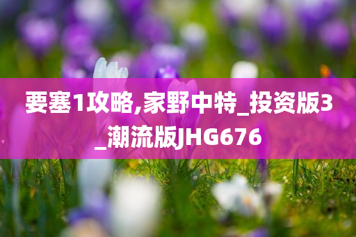 要塞1攻略,家野中特_投资版3_潮流版JHG676