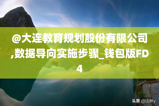 @大连教育规划股份有限公司,数据导向实施步骤_钱包版FD4