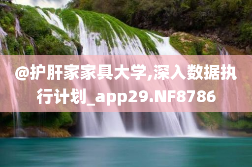 @护肝家家具大学,深入数据执行计划_app29.NF8786