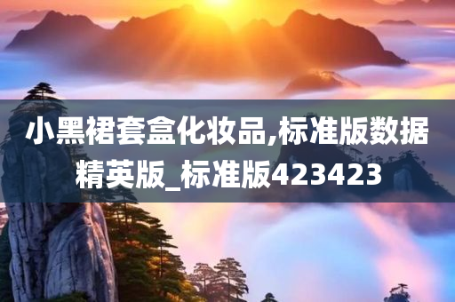 小黑裙套盒化妆品,标准版数据精英版_标准版423423