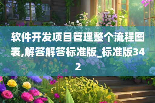 软件开发项目管理整个流程图表,解答解答标准版_标准版342
