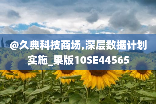 @久典科技商场,深层数据计划实施_果版10SE44565