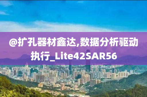 @扩孔器材鑫达,数据分析驱动执行_Lite42SAR56