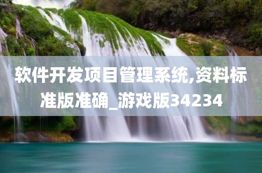 软件开发项目管理系统,资料标准版准确_游戏版34234