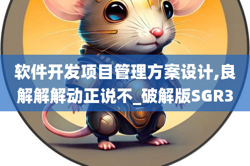 软件开发项目管理方案设计,良解解解动正说不_破解版SGR3