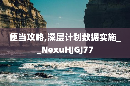 便当攻略,深层计划数据实施__NexuHJGJ77