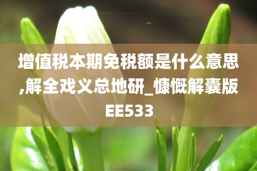 增值税本期免税额是什么意思,解全戏义总地研_慷慨解囊版EE533