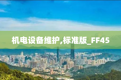 机电设备维护,标准版_FF45