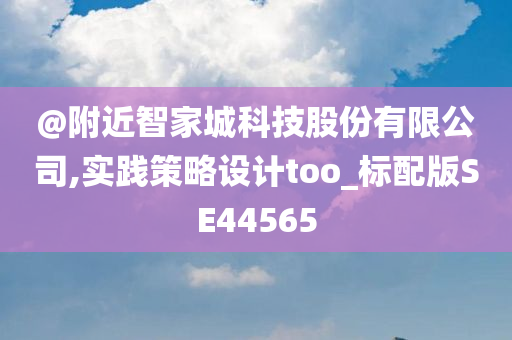 @附近智家城科技股份有限公司,实践策略设计too_标配版SE44565