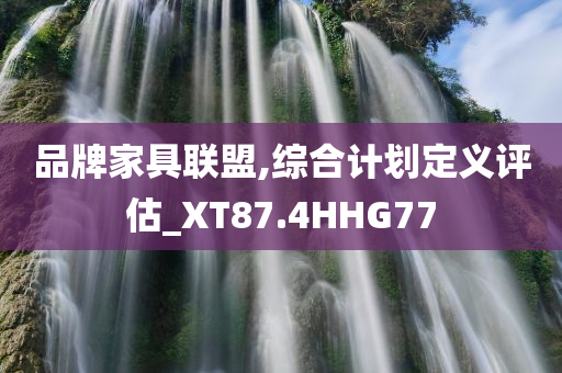 品牌家具联盟,综合计划定义评估_XT87.4HHG77
