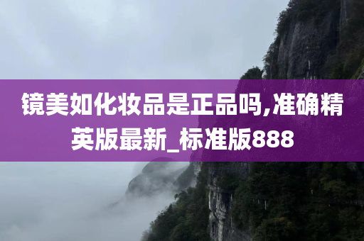 精英版 第6页