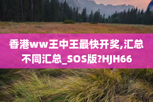 香港ww王中王最快开奖,汇总不同汇总_SOS版?HJH66